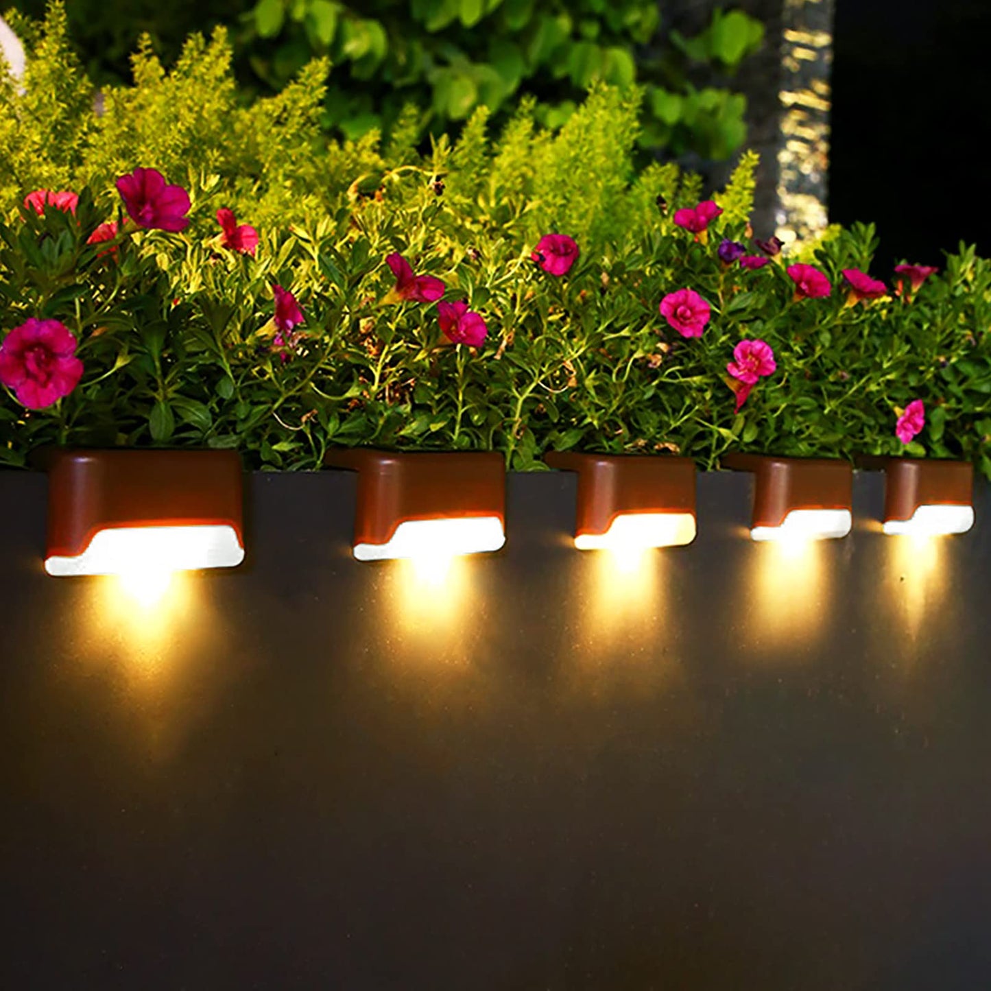 Solar Decorative lights
